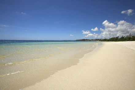 1303427935_beach.jpg
