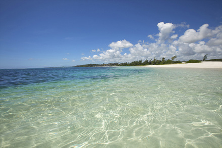 1305527791_beach.jpg
