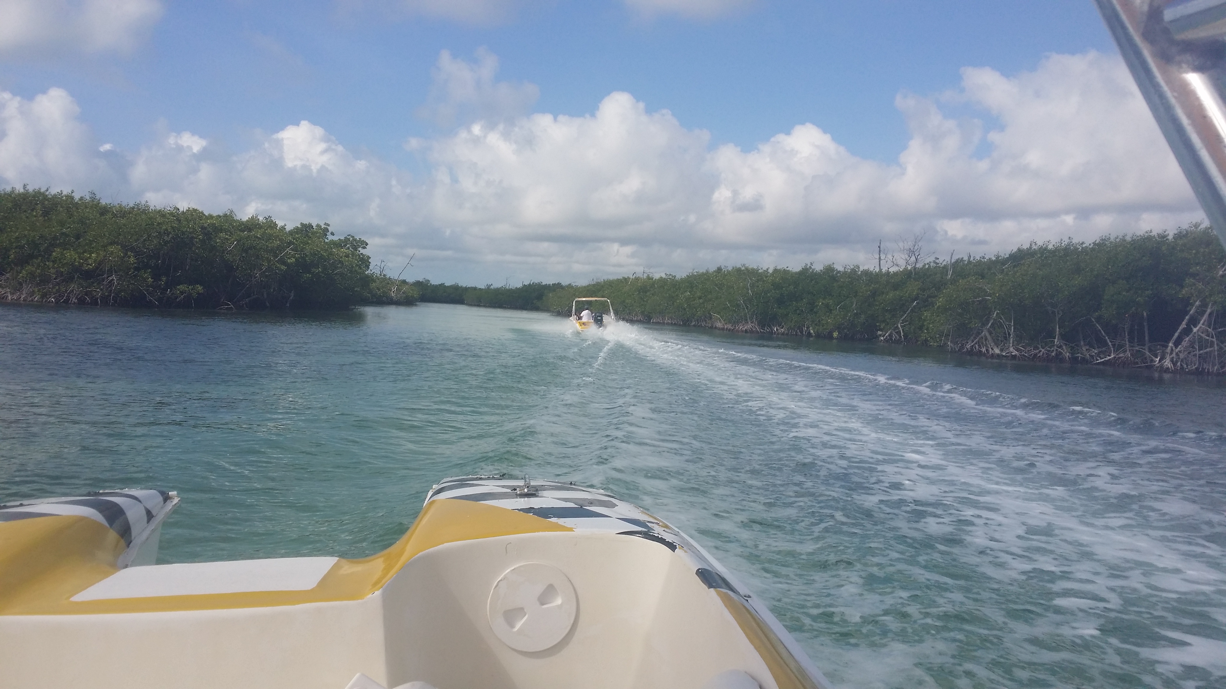 20140425_091419.jpg