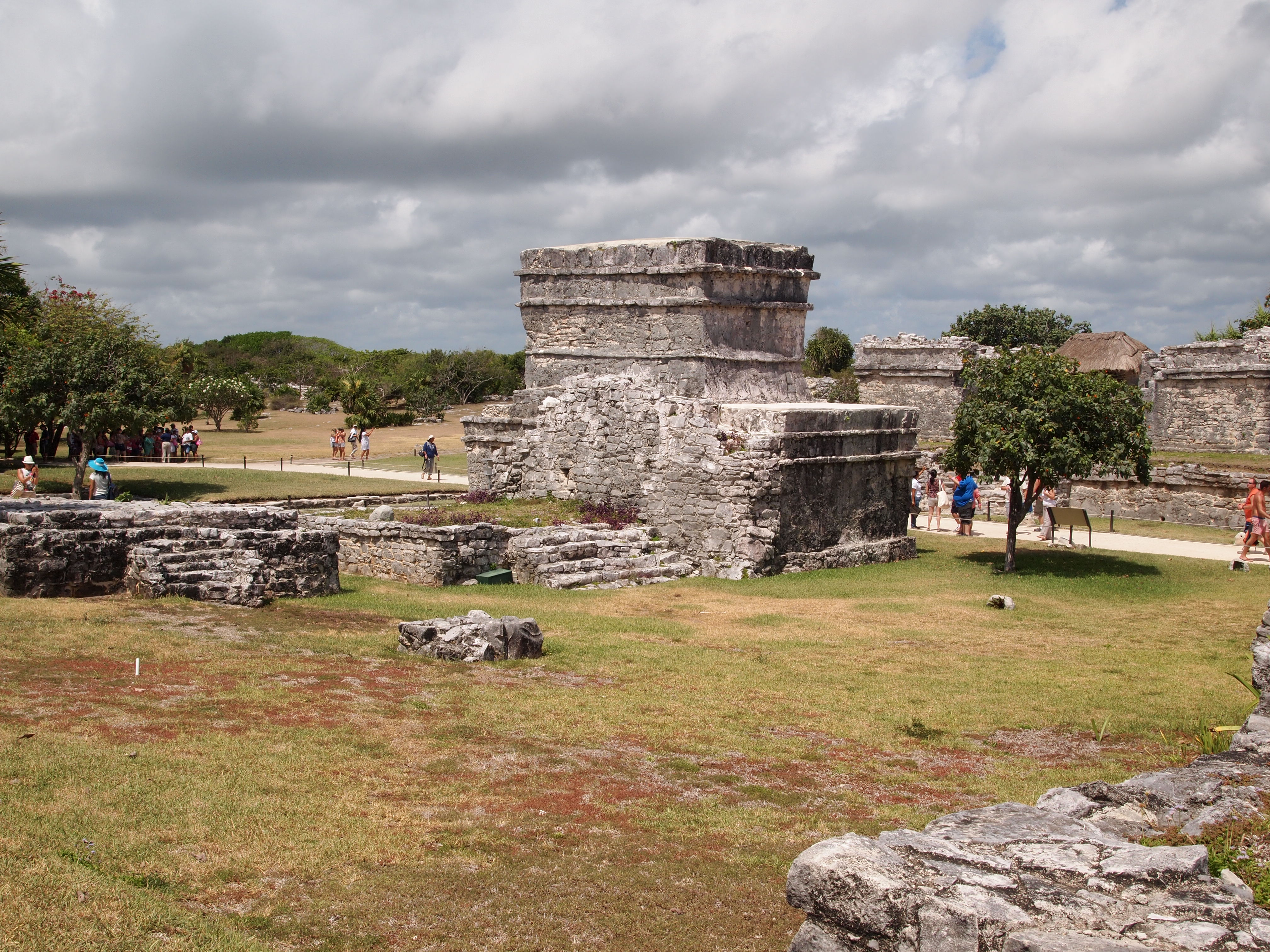 P1015229.JPG
