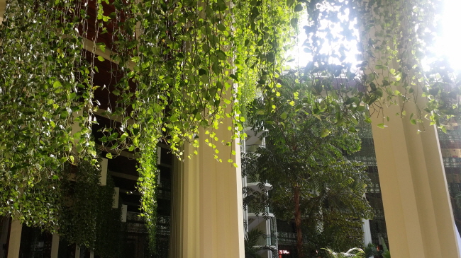 20150228_092237.jpg