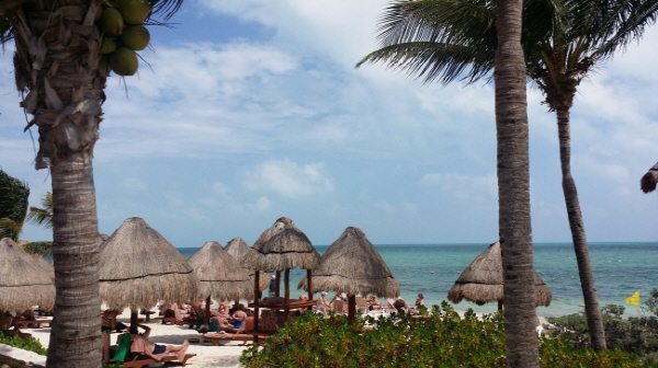 20150228_115726.jpg