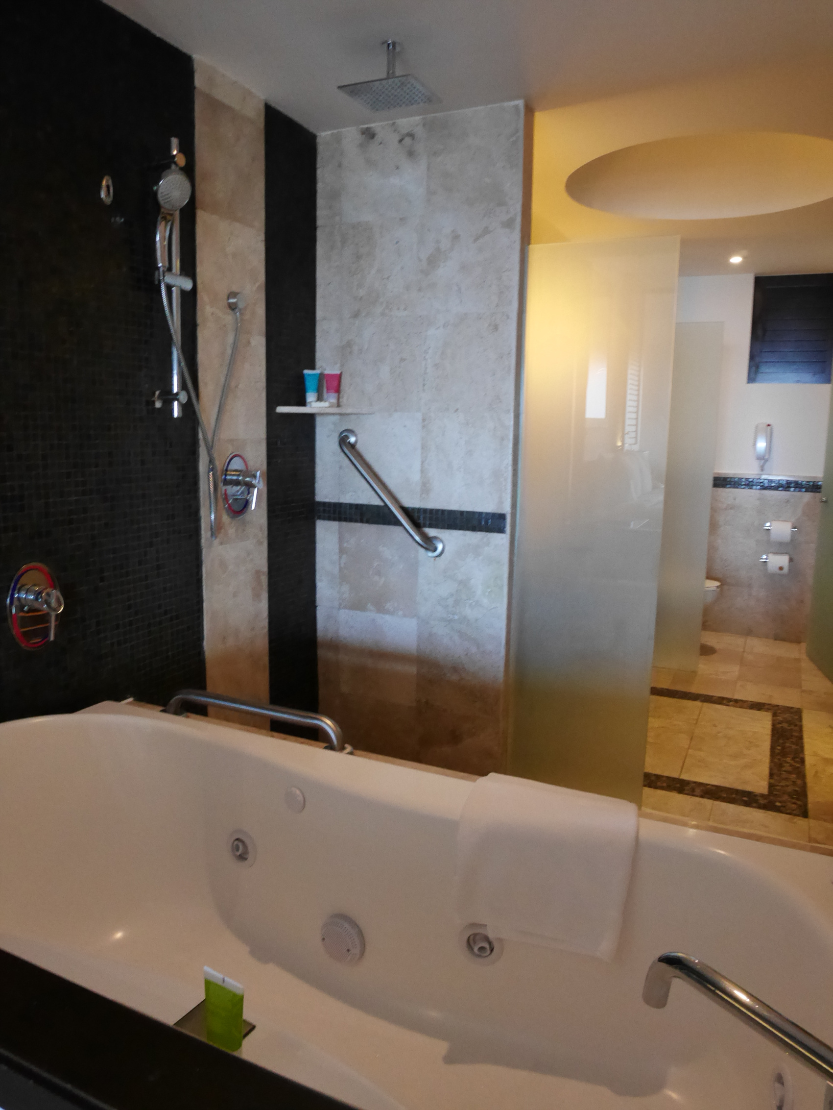 P1000044.jpg