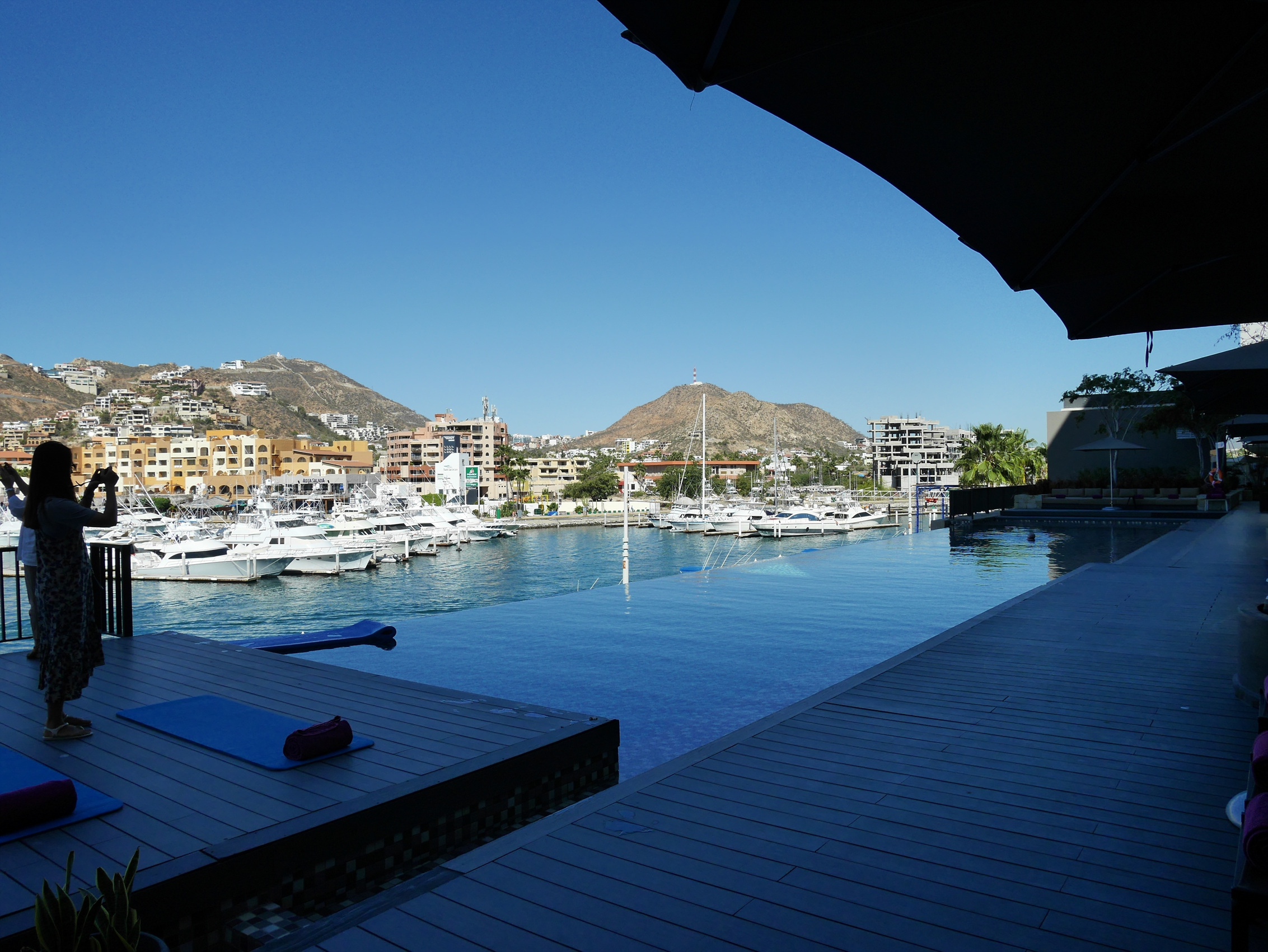 P1000299.jpg