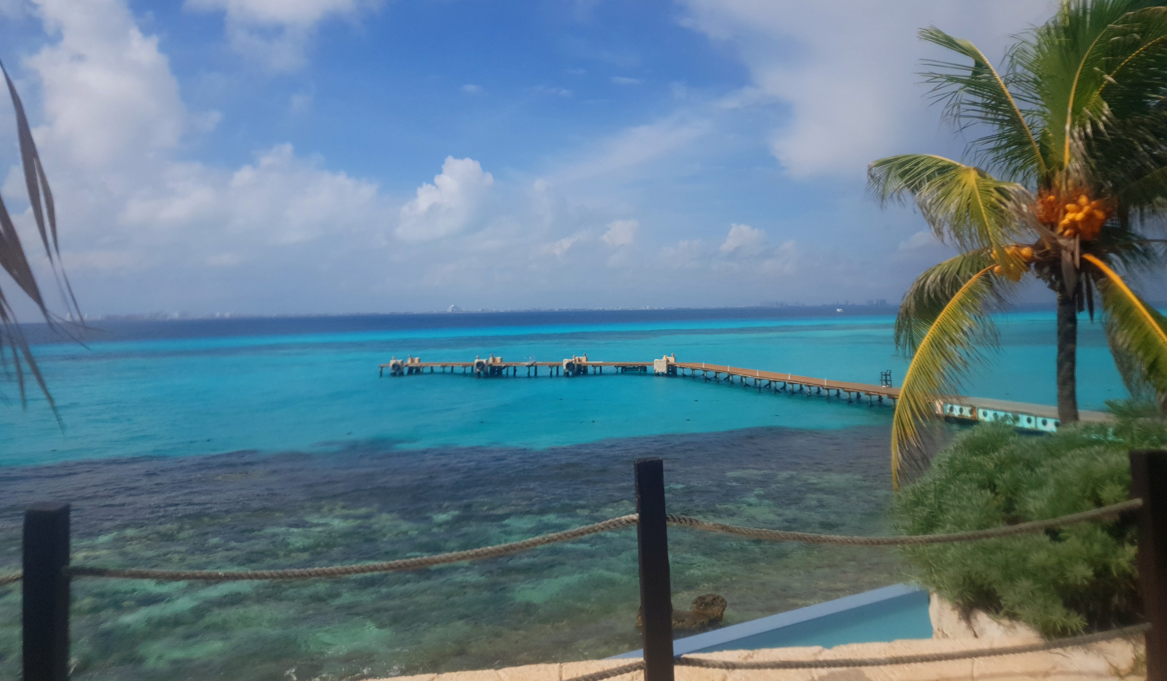 20180926_100246.jpg