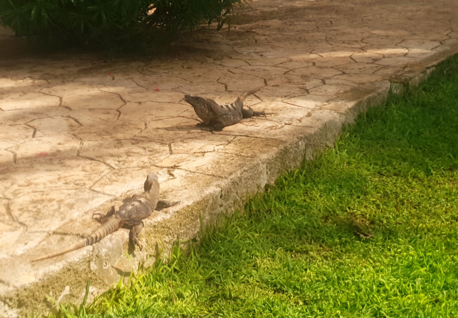 20180926_100343.jpg