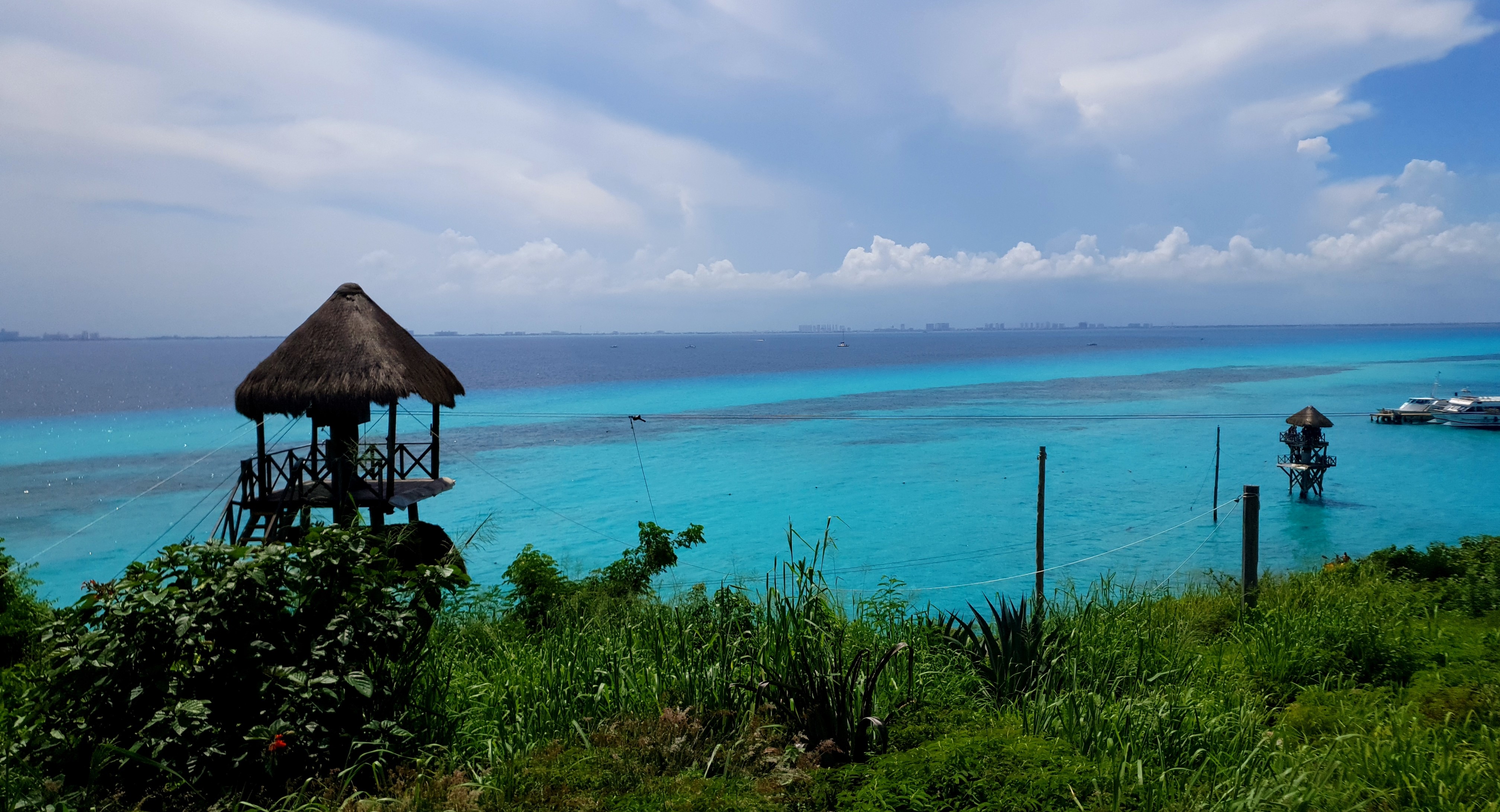 20180926_133131.jpg